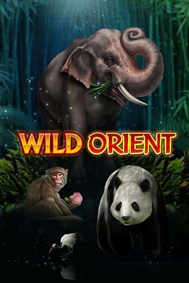 Демо Wild Orient | Казино Фараон играть без регистрации